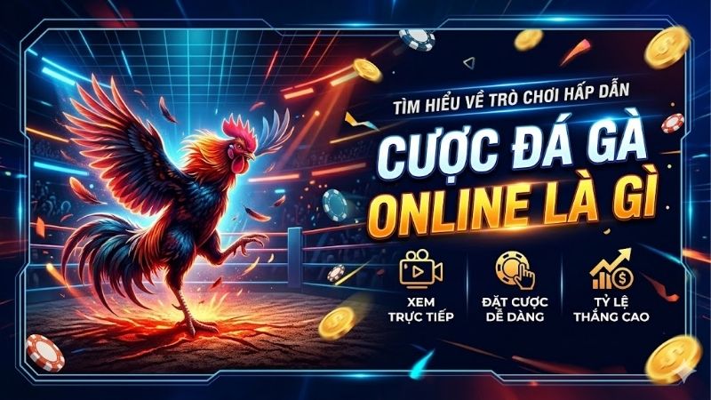 Cược đá gà online là gì? Bí kíp chơi luôn thắng cho bạn 2 cuoc-da-ga-online-la-gi
